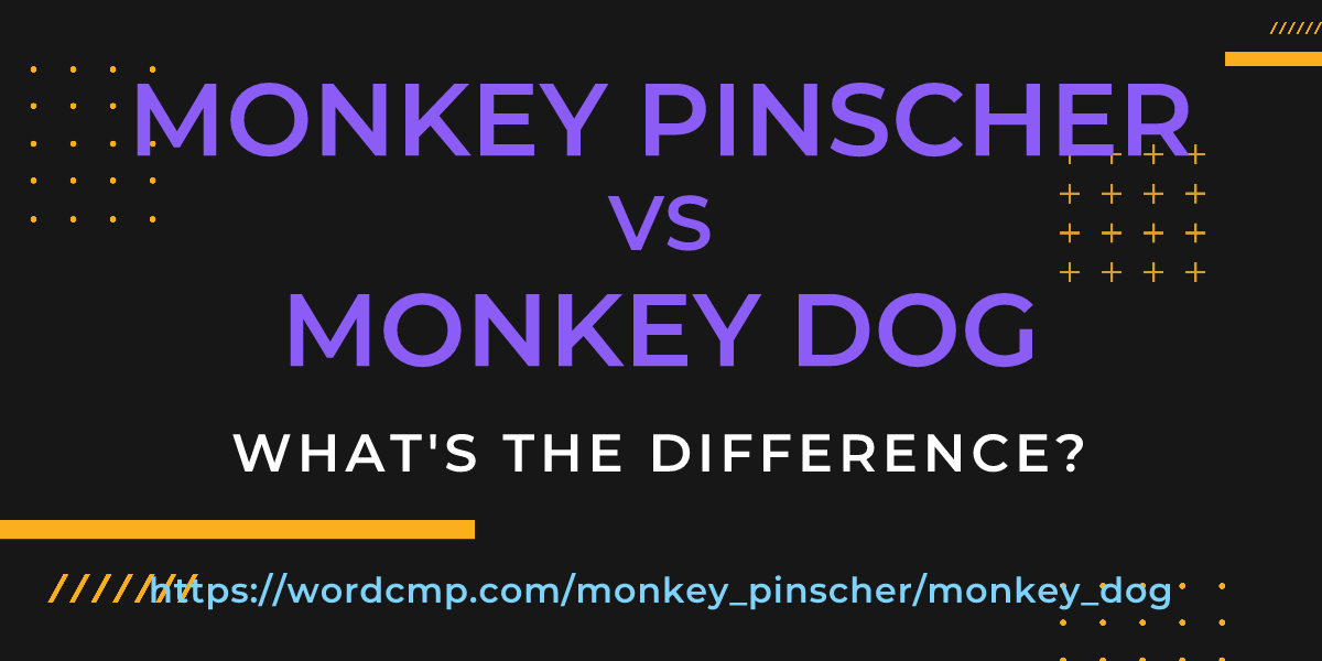 Difference between monkey pinscher and monkey dog