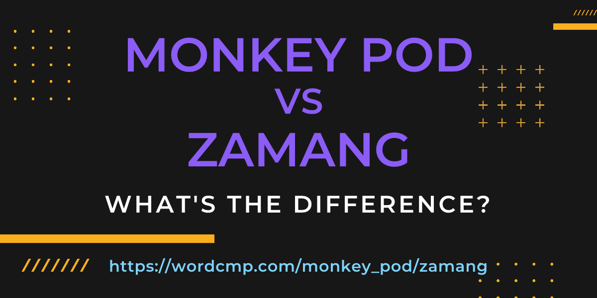 Difference between monkey pod and zamang