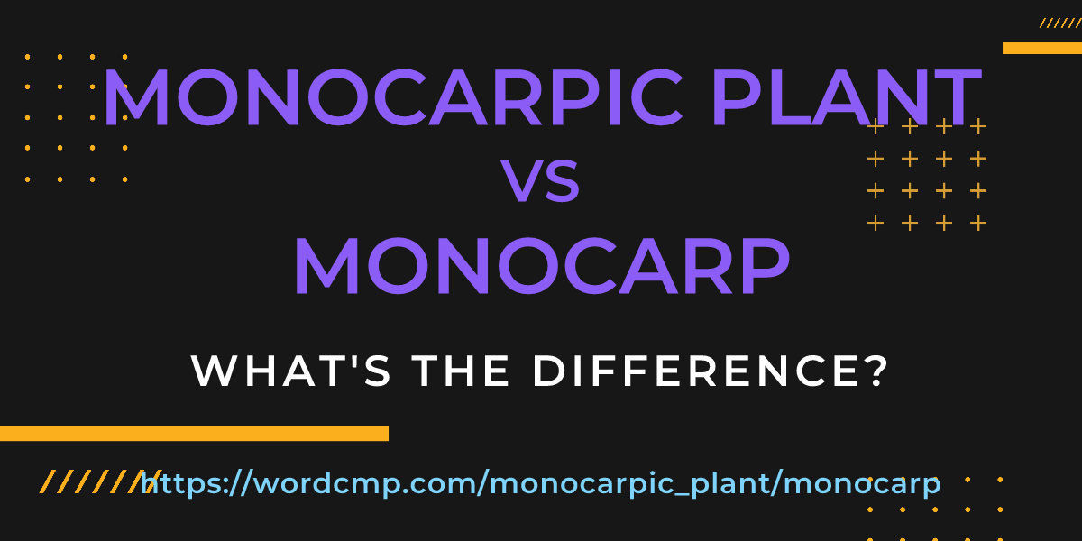 Difference between monocarpic plant and monocarp