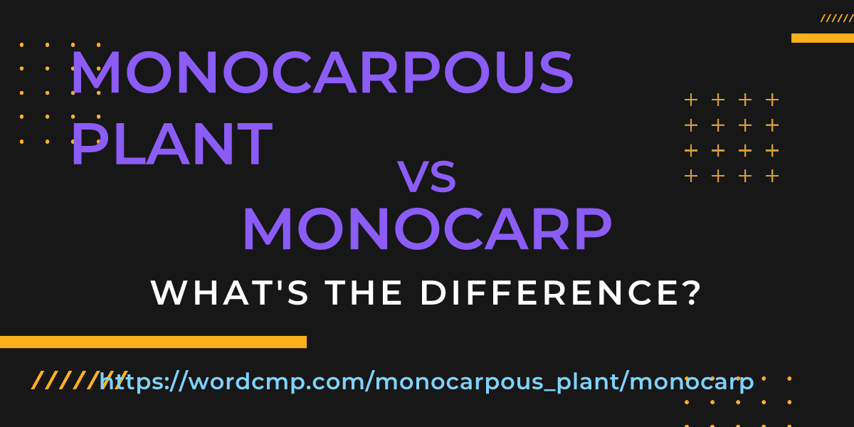 Difference between monocarpous plant and monocarp