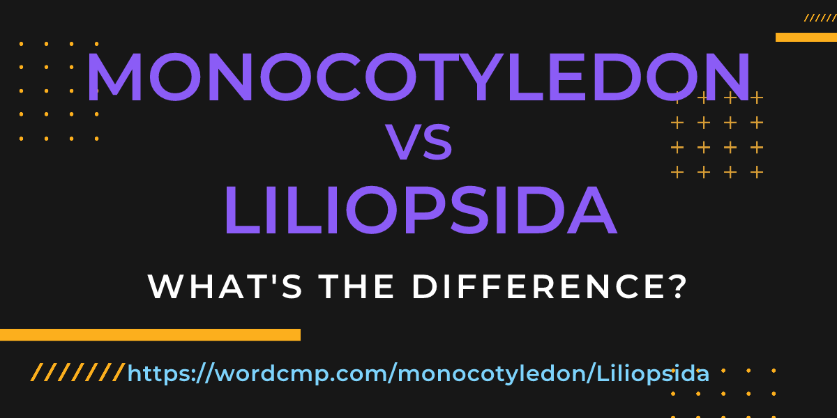 Difference between monocotyledon and Liliopsida