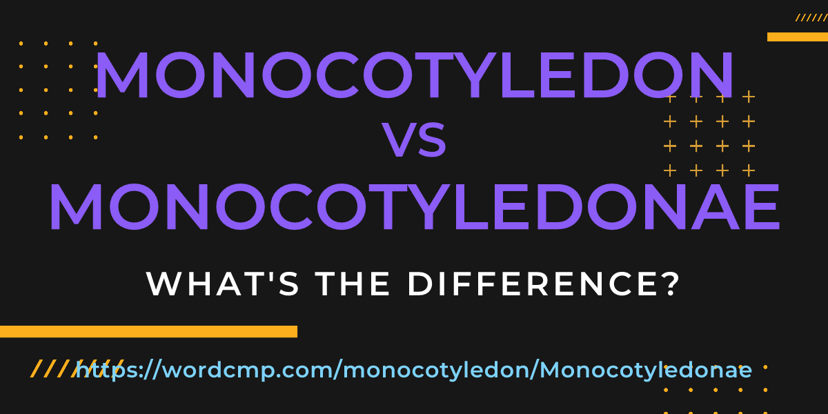 Difference between monocotyledon and Monocotyledonae