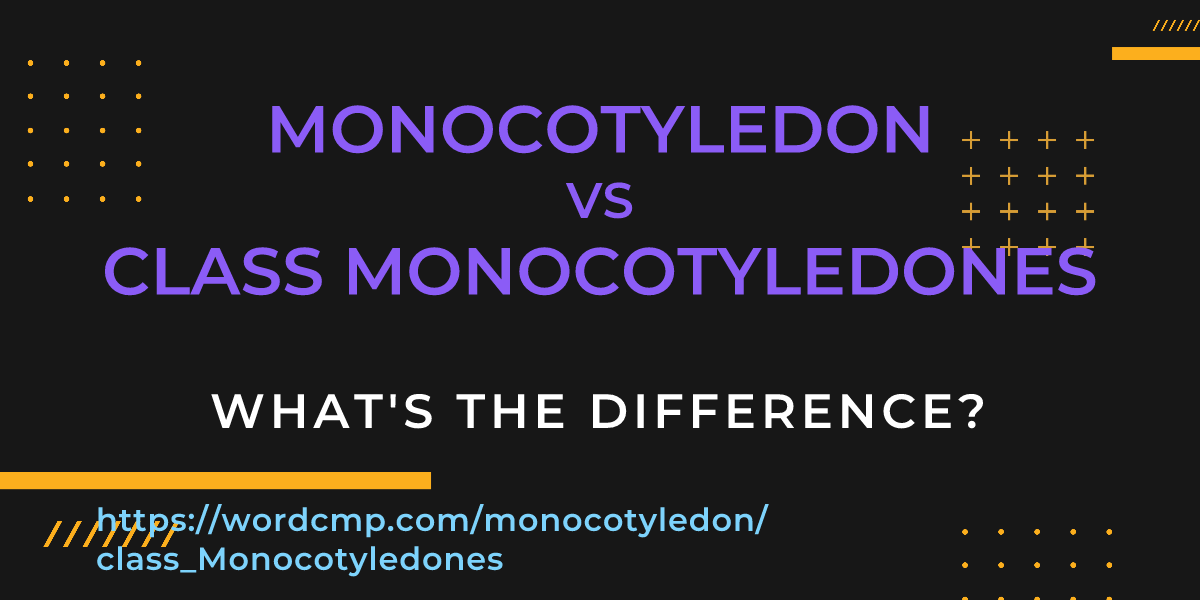 Difference between monocotyledon and class Monocotyledones