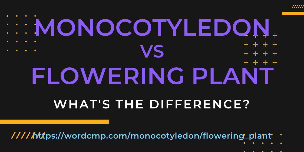 Difference between monocotyledon and flowering plant