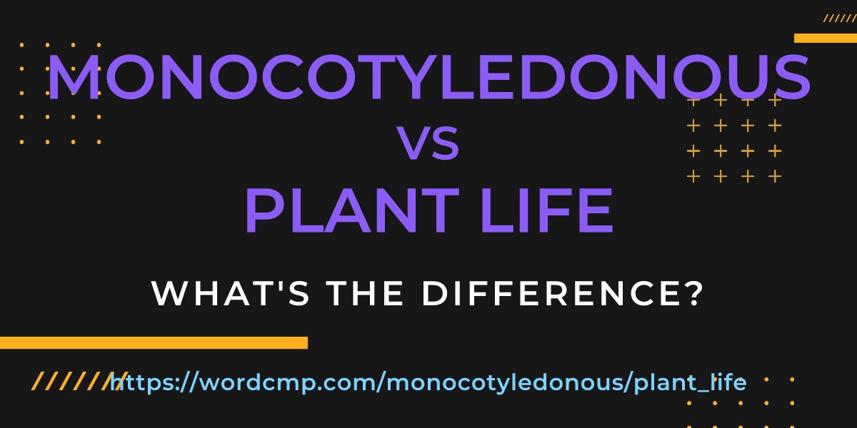 Difference between monocotyledonous and plant life