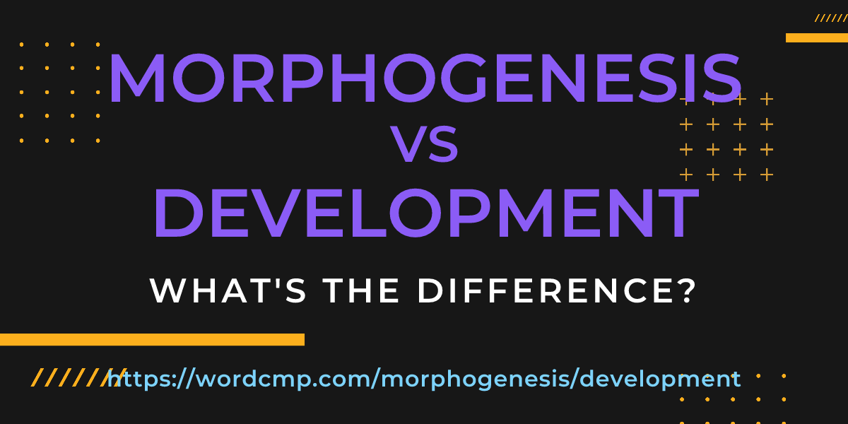 Difference between morphogenesis and development