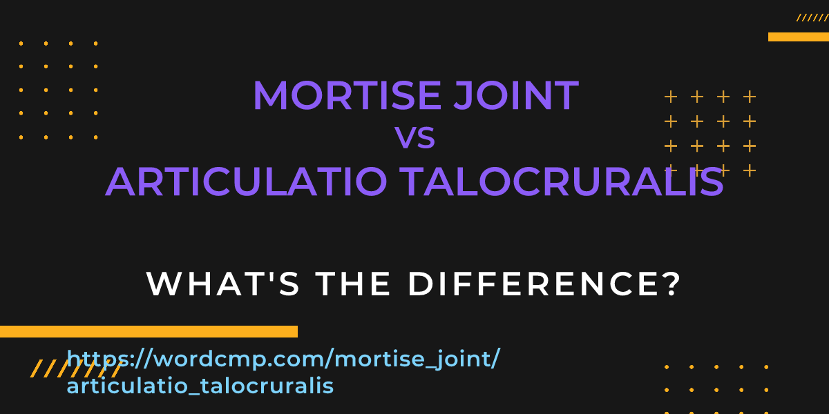 Difference between mortise joint and articulatio talocruralis