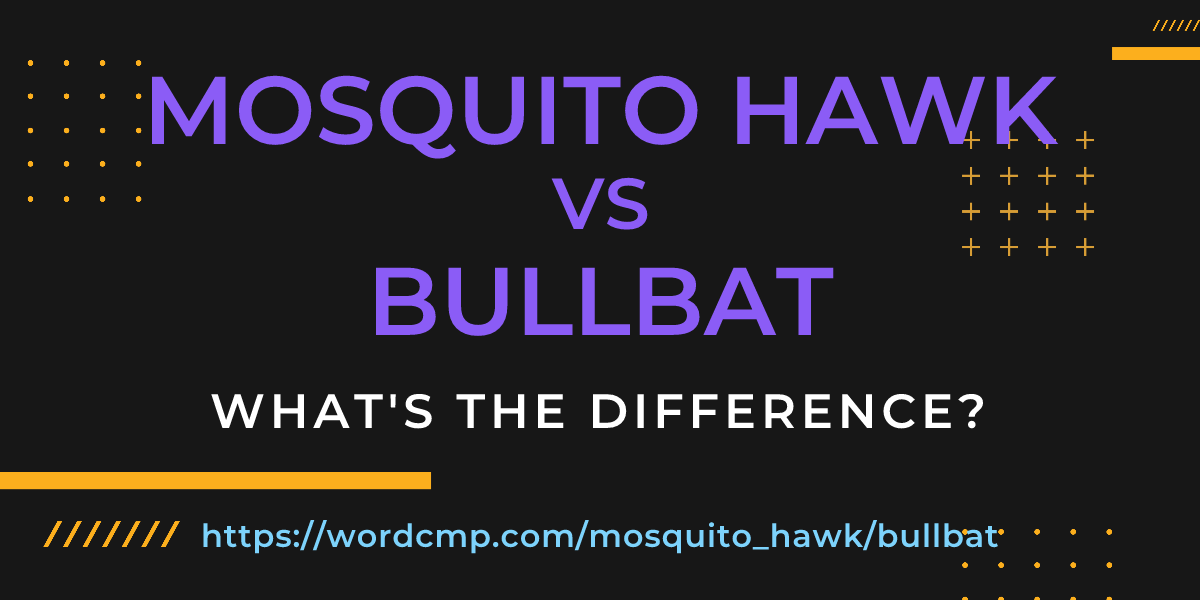 Difference between mosquito hawk and bullbat