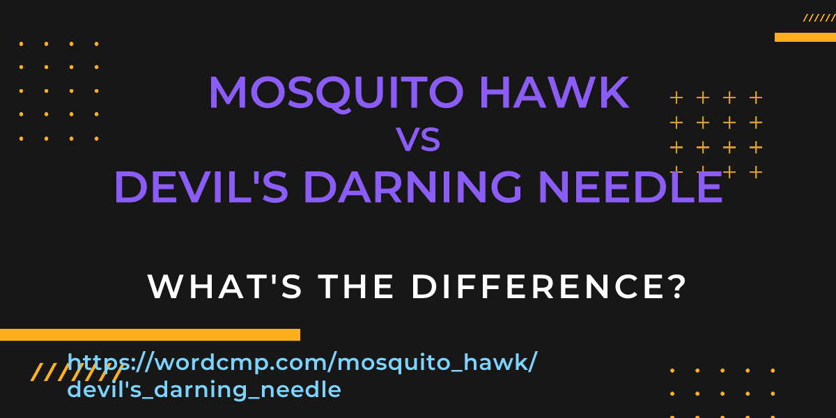Difference between mosquito hawk and devil's darning needle