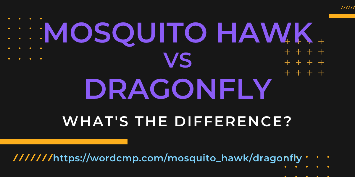 Difference between mosquito hawk and dragonfly