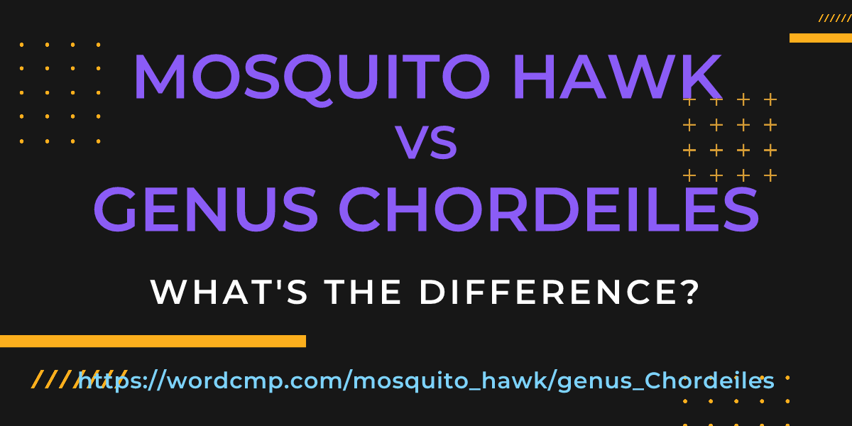 Difference between mosquito hawk and genus Chordeiles