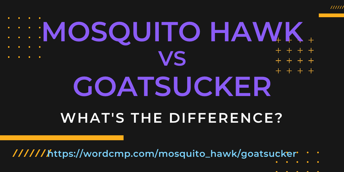 Difference between mosquito hawk and goatsucker