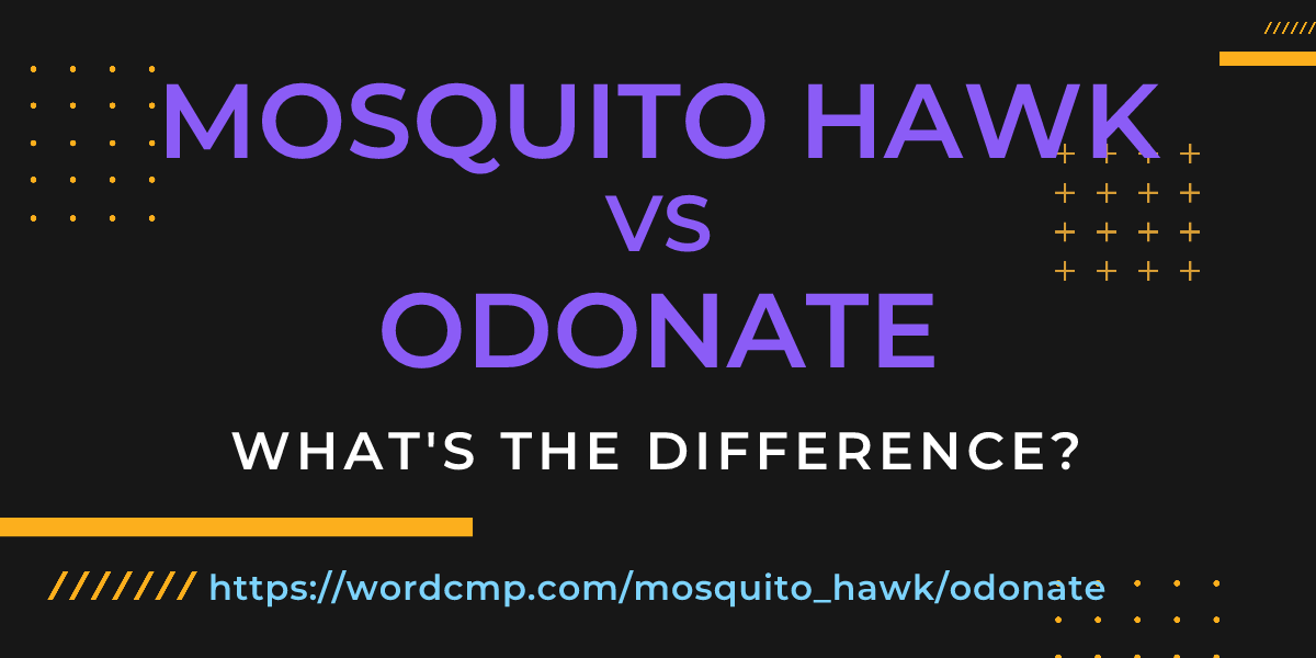 Difference between mosquito hawk and odonate