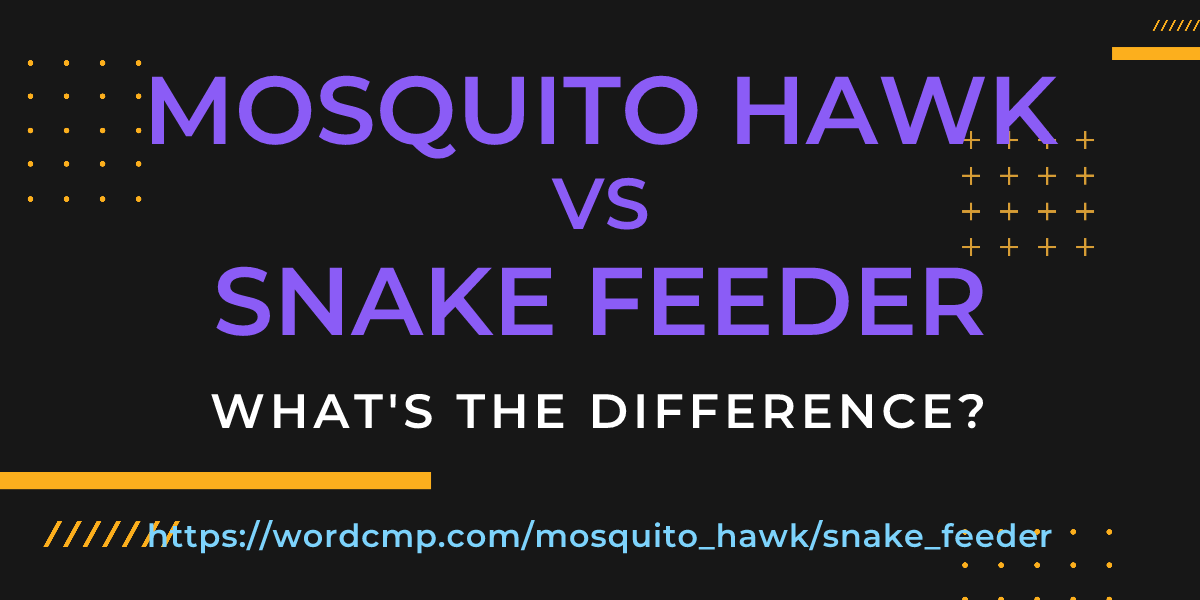Difference between mosquito hawk and snake feeder