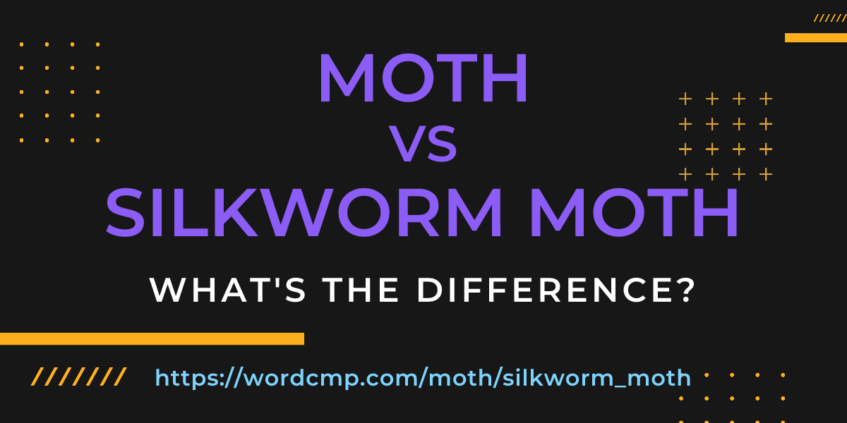 Difference between moth and silkworm moth