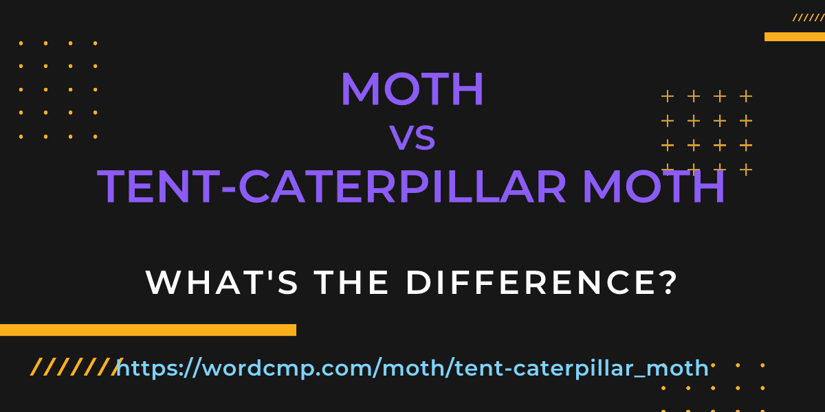Difference between moth and tent-caterpillar moth