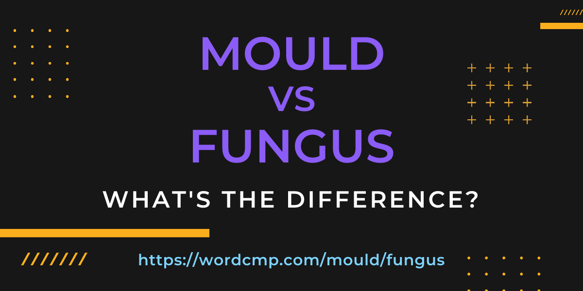 Difference between mould and fungus