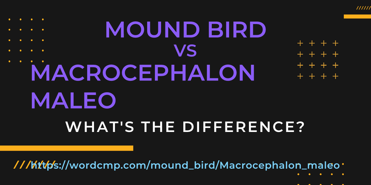 Difference between mound bird and Macrocephalon maleo