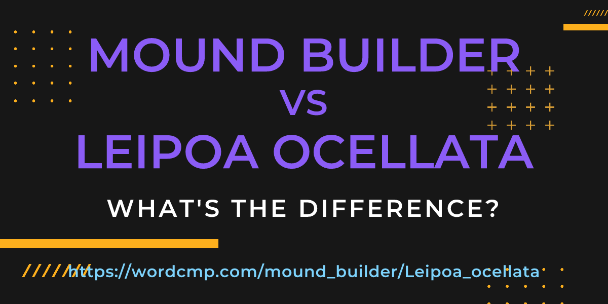 Difference between mound builder and Leipoa ocellata