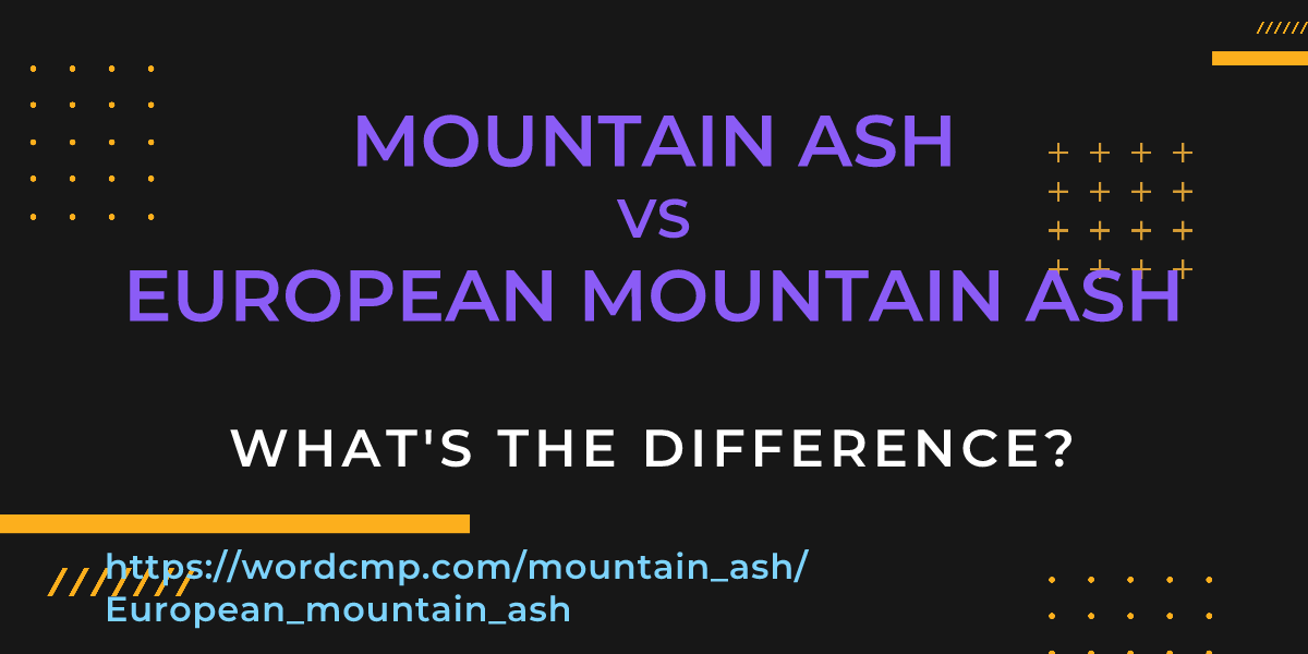 Difference between mountain ash and European mountain ash