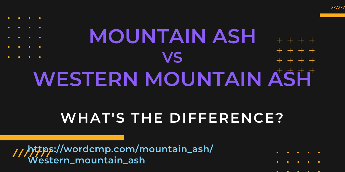 Difference between mountain ash and Western mountain ash