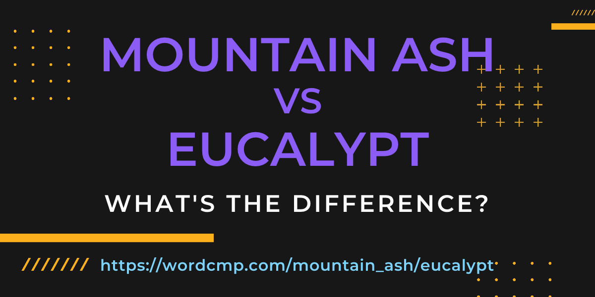 Difference between mountain ash and eucalypt