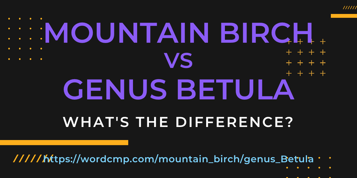 Difference between mountain birch and genus Betula