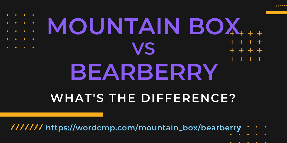 Difference between mountain box and bearberry