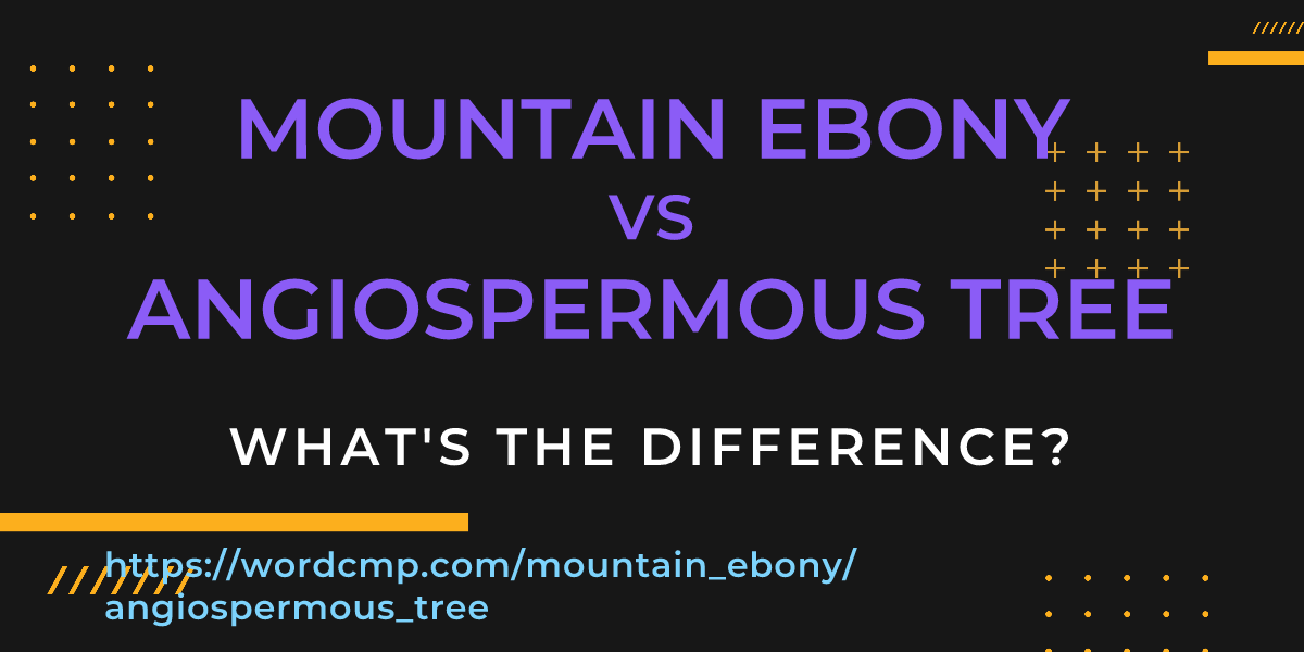 Difference between mountain ebony and angiospermous tree