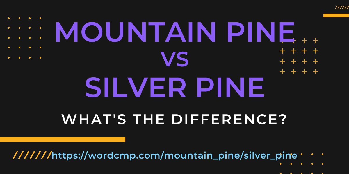 Difference between mountain pine and silver pine