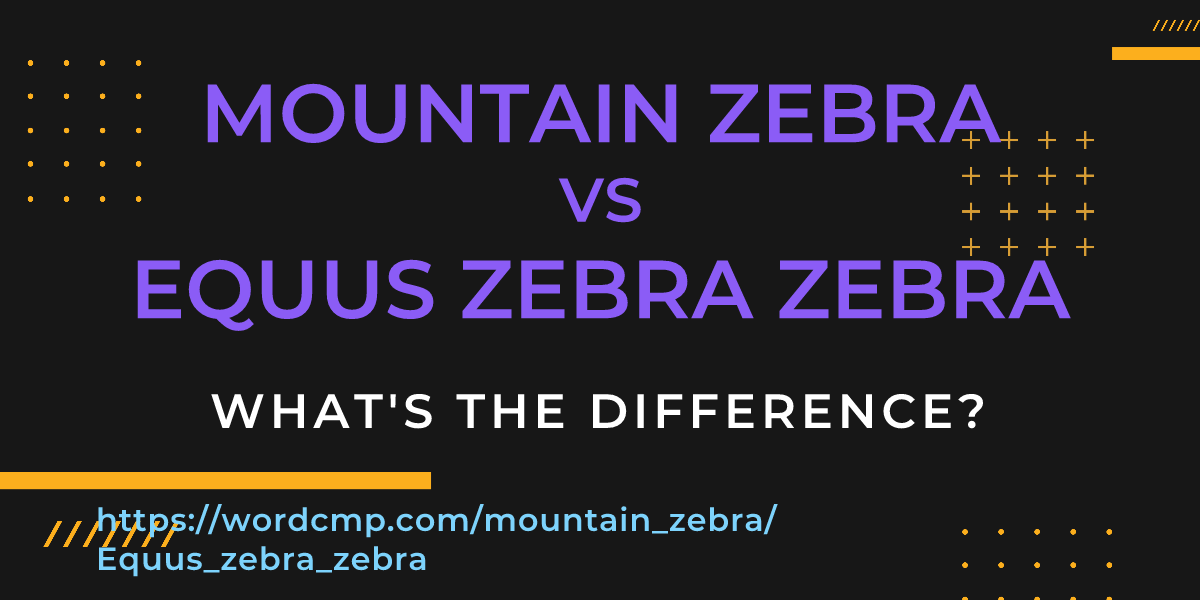 Difference between mountain zebra and Equus zebra zebra