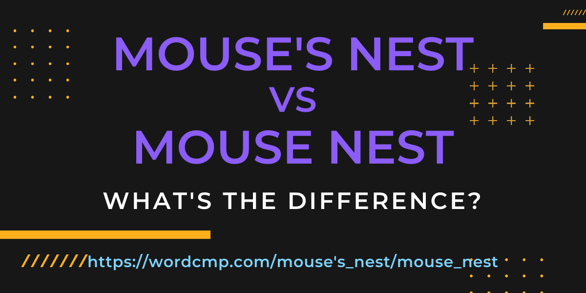 Difference between mouse's nest and mouse nest