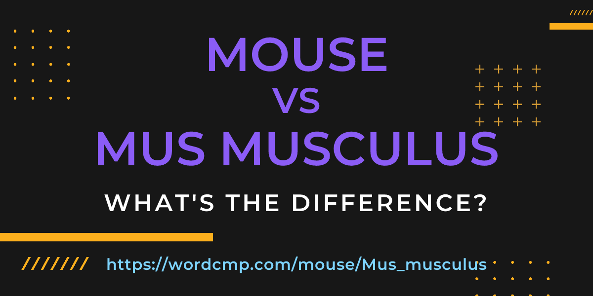 Difference between mouse and Mus musculus