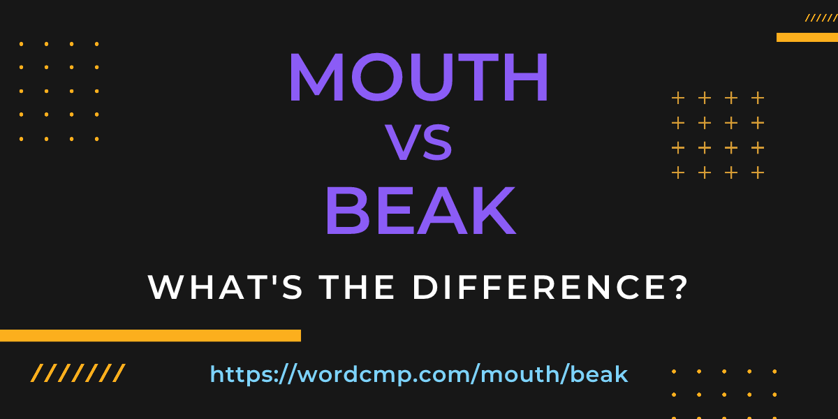 Difference between mouth and beak