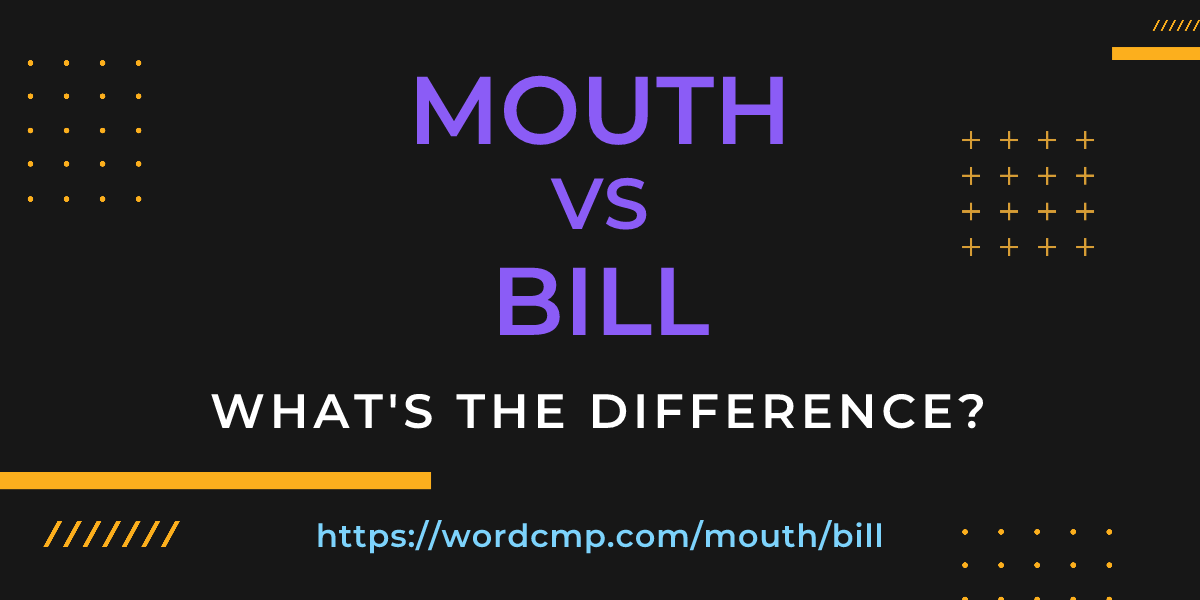 Difference between mouth and bill