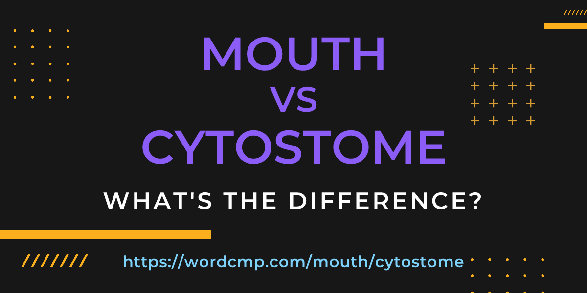 Difference between mouth and cytostome