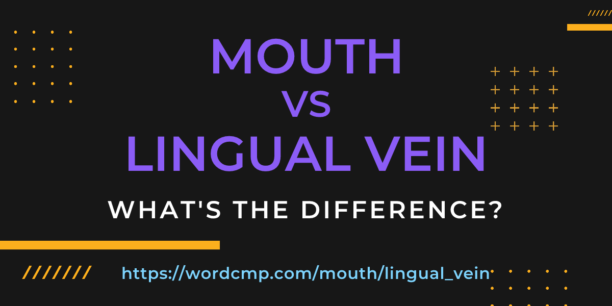 Difference between mouth and lingual vein