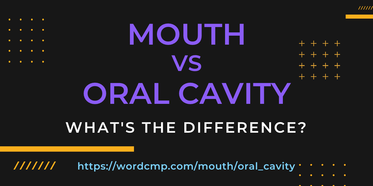 Difference between mouth and oral cavity