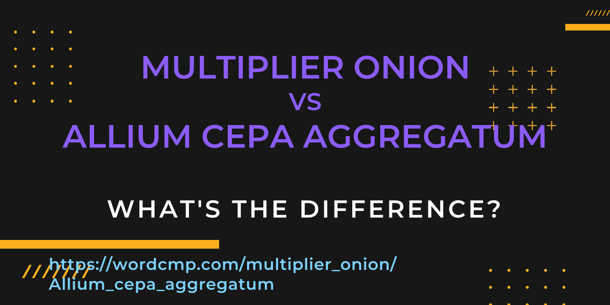 Difference between multiplier onion and Allium cepa aggregatum