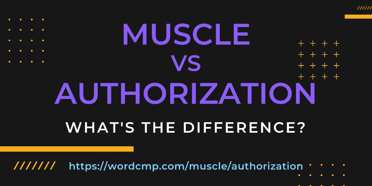 Difference between muscle and authorization