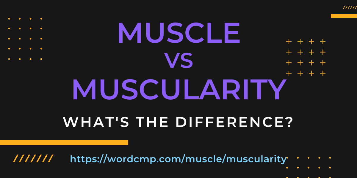 Difference between muscle and muscularity