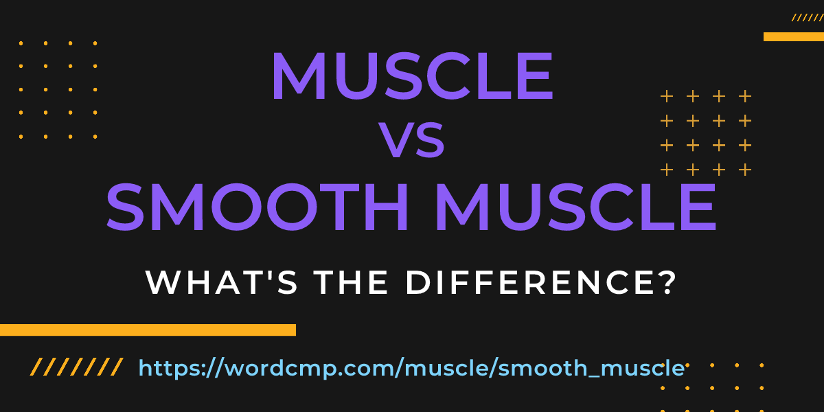 Difference between muscle and smooth muscle