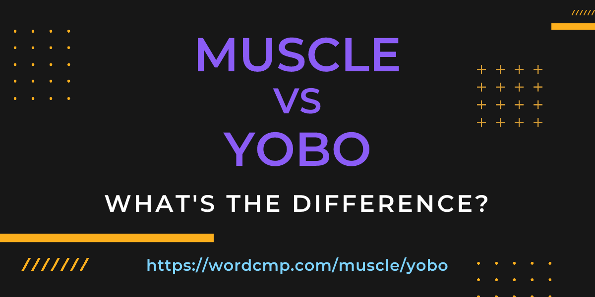 Difference between muscle and yobo