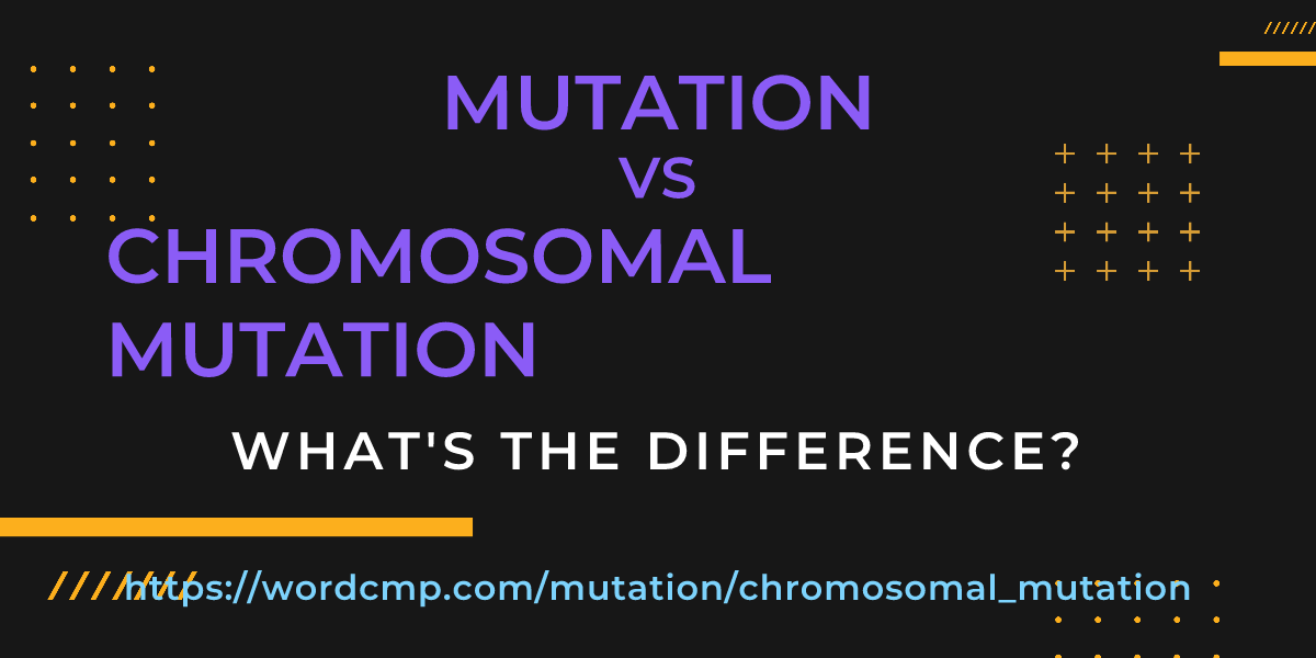 Difference between mutation and chromosomal mutation