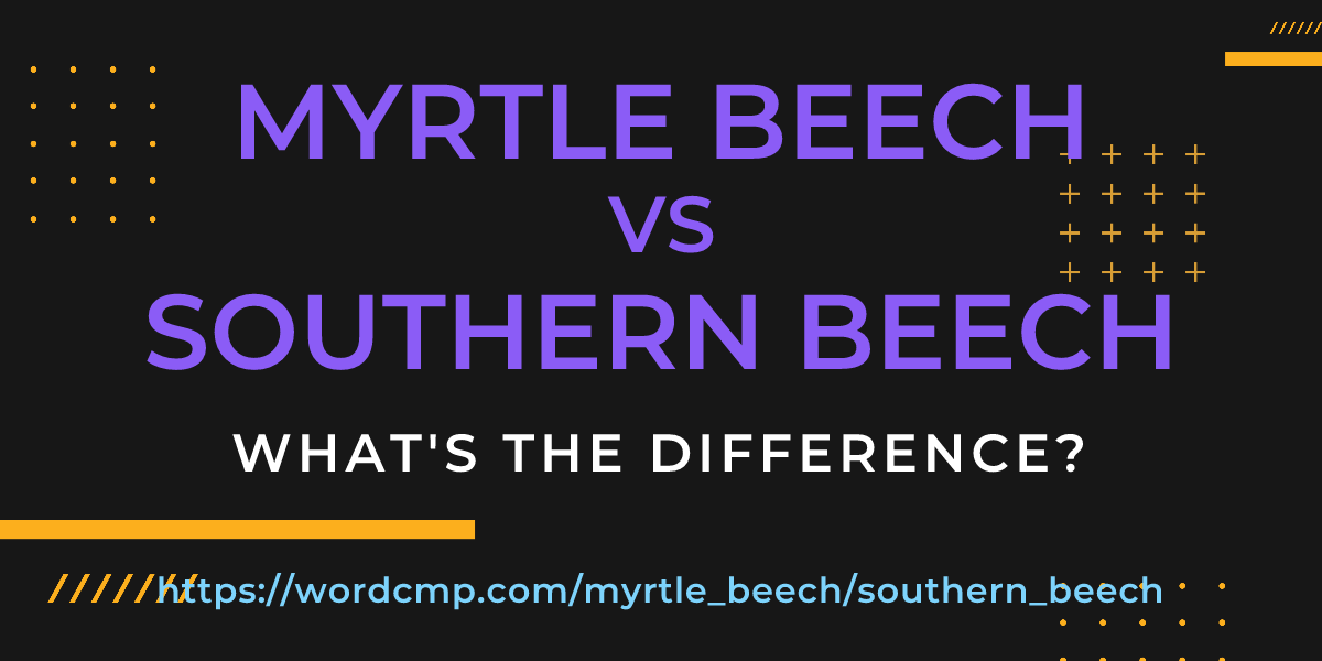 Difference between myrtle beech and southern beech