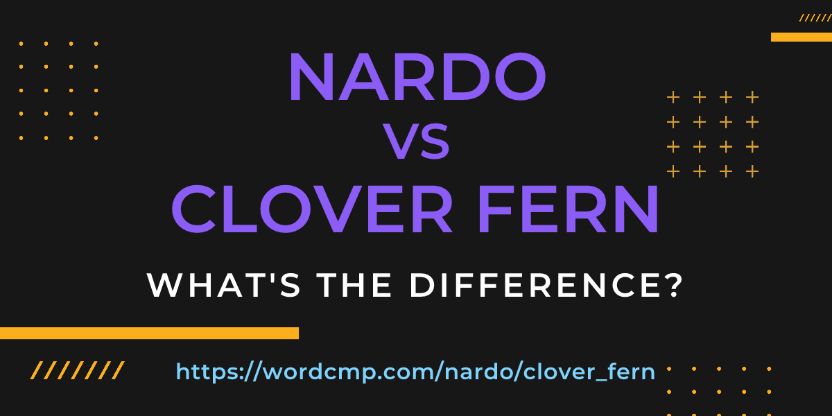 Difference between nardo and clover fern