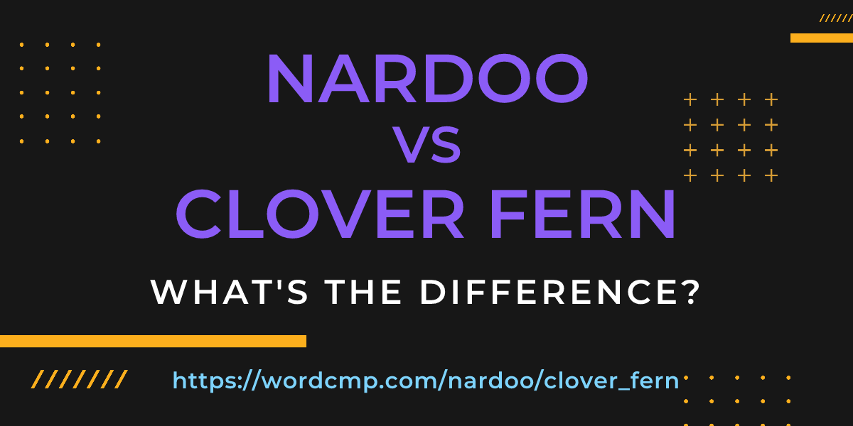 Difference between nardoo and clover fern