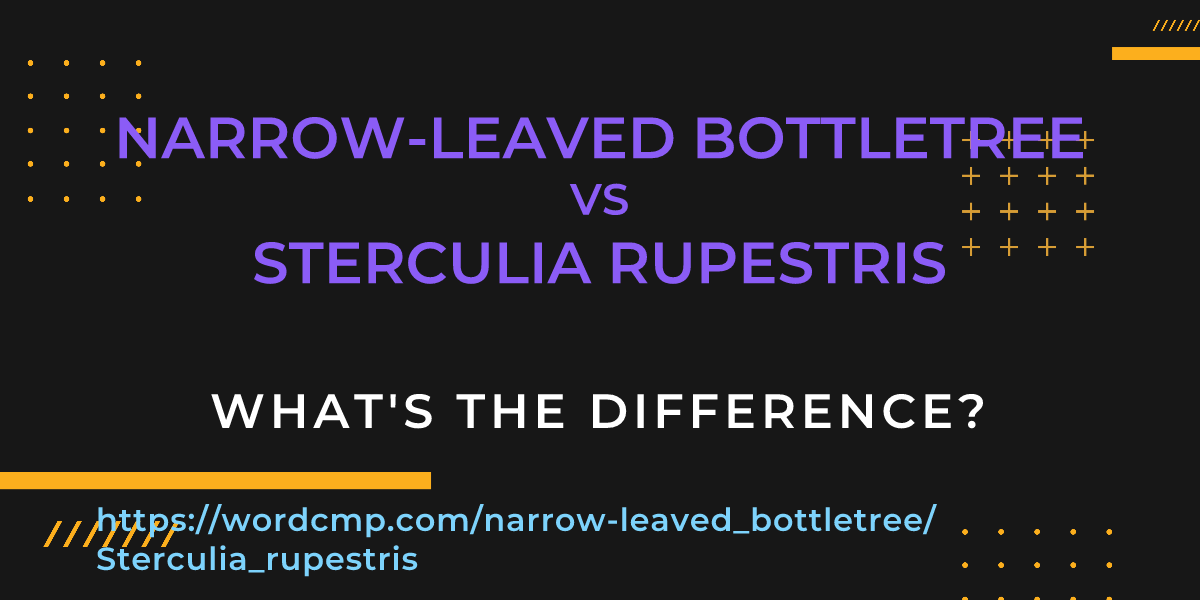 Difference between narrow-leaved bottletree and Sterculia rupestris
