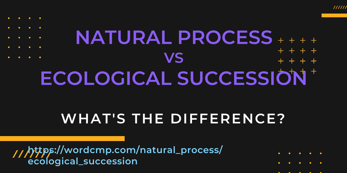 Difference between natural process and ecological succession