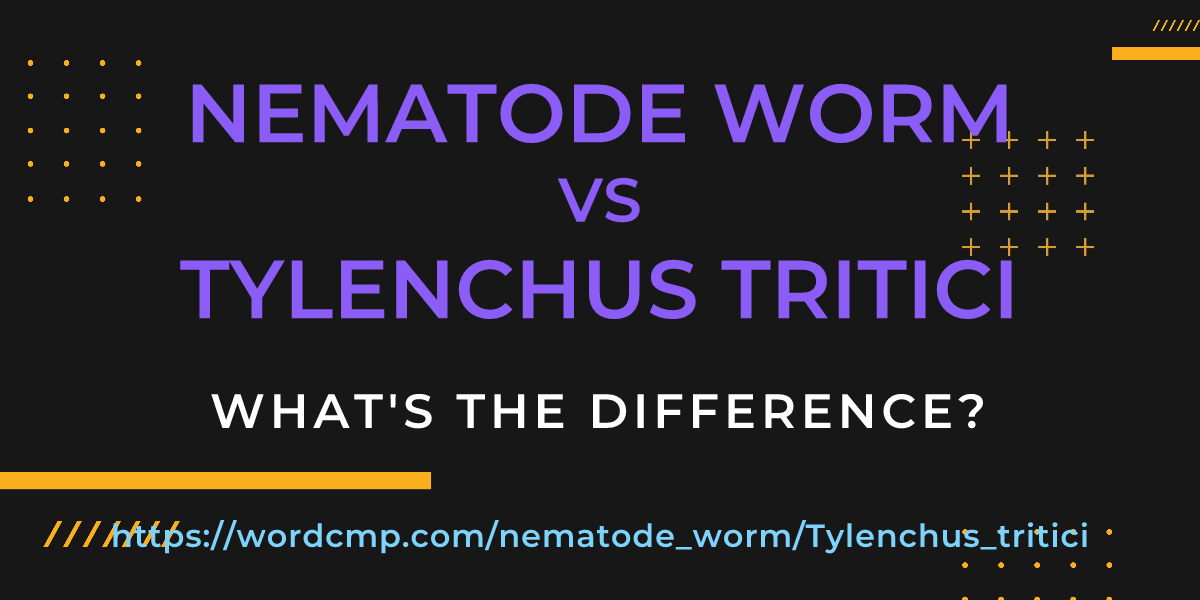 Difference between nematode worm and Tylenchus tritici
